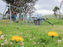 Paraparaumu Domain