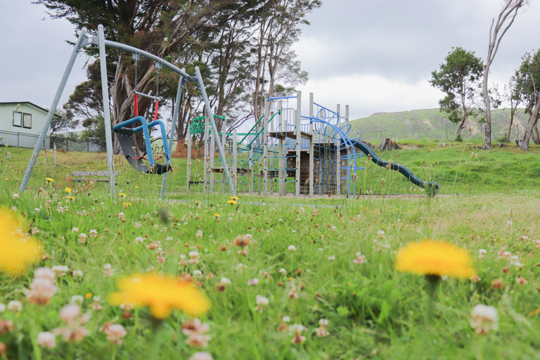 Paraparaumu Domain