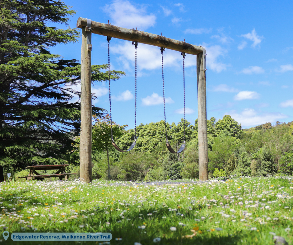 Swings at Edgewater Reserve, Waikanae River Trail