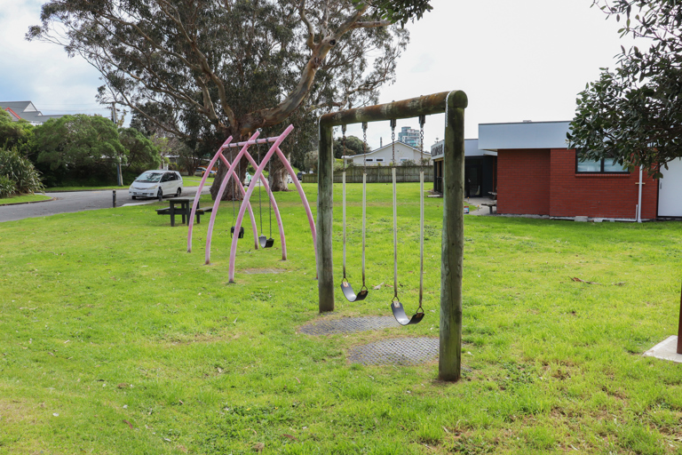 Bluegum Reserve swings