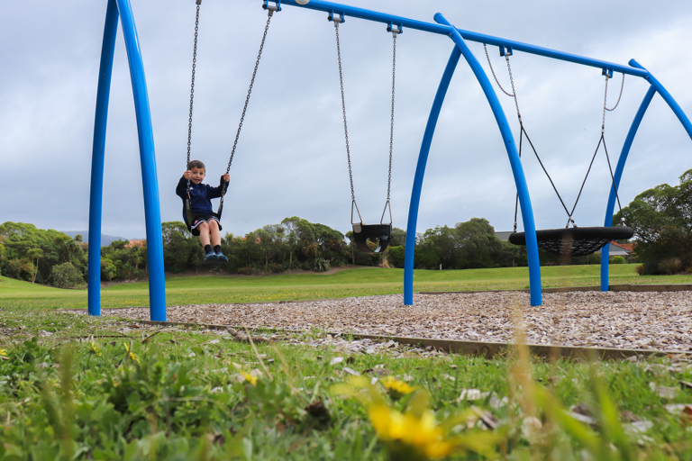 Kotuku Park swings