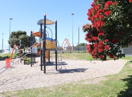 Te Atiawa Park in summer