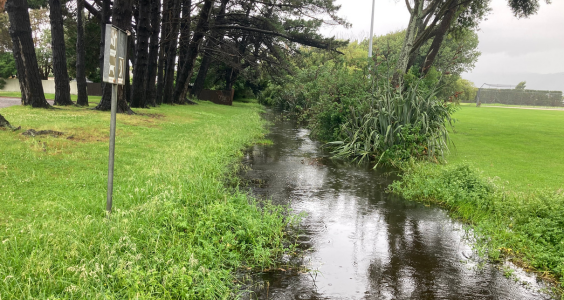 Te Atiawa Stream in Kenakena where we're making improvement to reduce flooding.