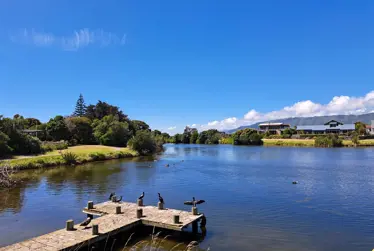 Suspected avian botulism cases in birds in Waimanu Lagoons