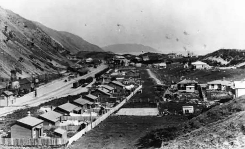 Railway station, yards, and cottages at Paekākāriki in 1910.  HP 1505, Buckley Collection, Kāpiti Coast District Libraries