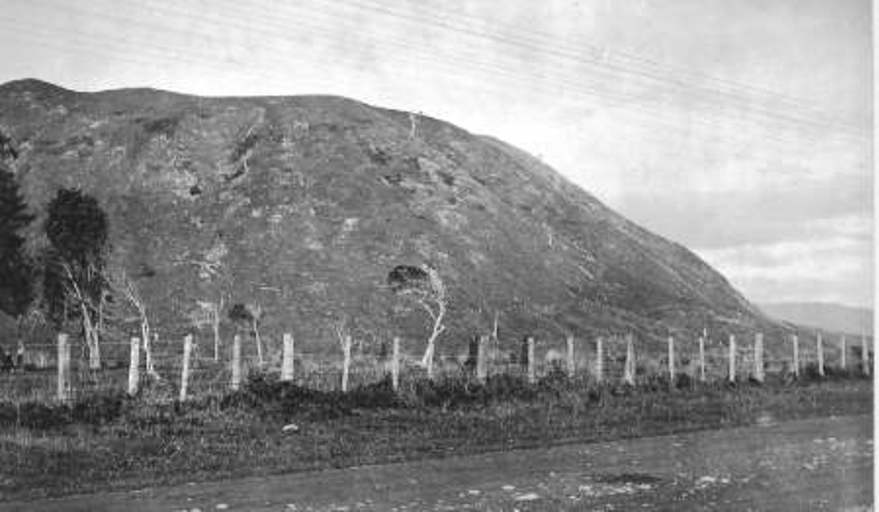 Pukehou – Te Puke Tangaengae | The hill of dedication, at 247 State Highway 1 North. Photo credit: Horowhenua Historical Society Inc