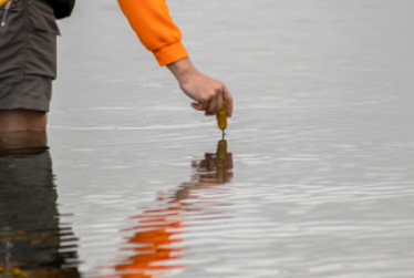 Testing times for our water