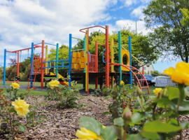 Waikanae War Memorial 2023 roses and playground