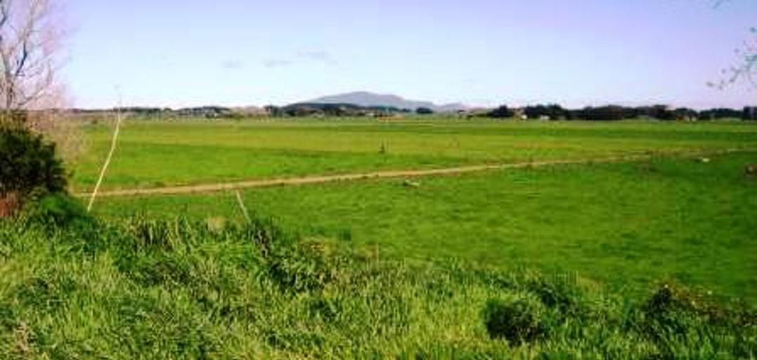 Site of the Haowhenua battle in 1834, opposite 216 Te Waka Road, Te Horo.