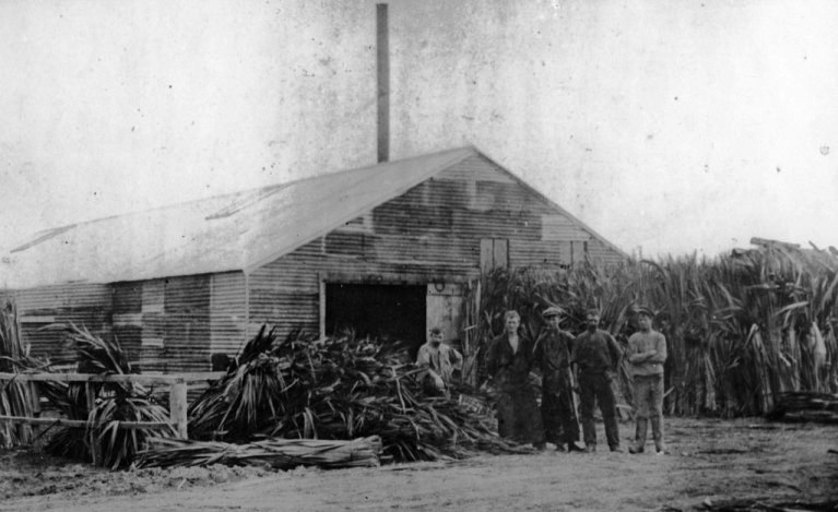 Browns’ Flax Mill, Waikanae, 1910. Hp 1372, Brown Collection, Kāpiti Coast District Libraries.