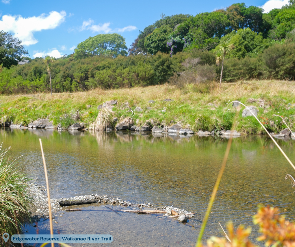 The river at Edgewater Reserve where littlies like to build dams.