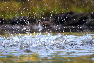 Kāpiti Coast District Council monitoring heavy rain warning and rising rivers