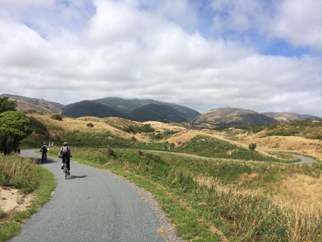 Photo of the Queen Elizabeth Park cycleway, looking towards the hills, with two people on bikes.