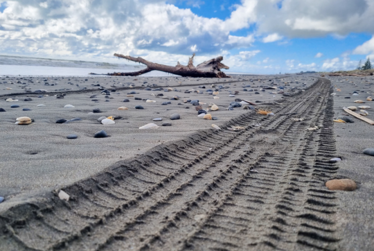 Council reminds of rules for vehicles on Kāpiti beaches