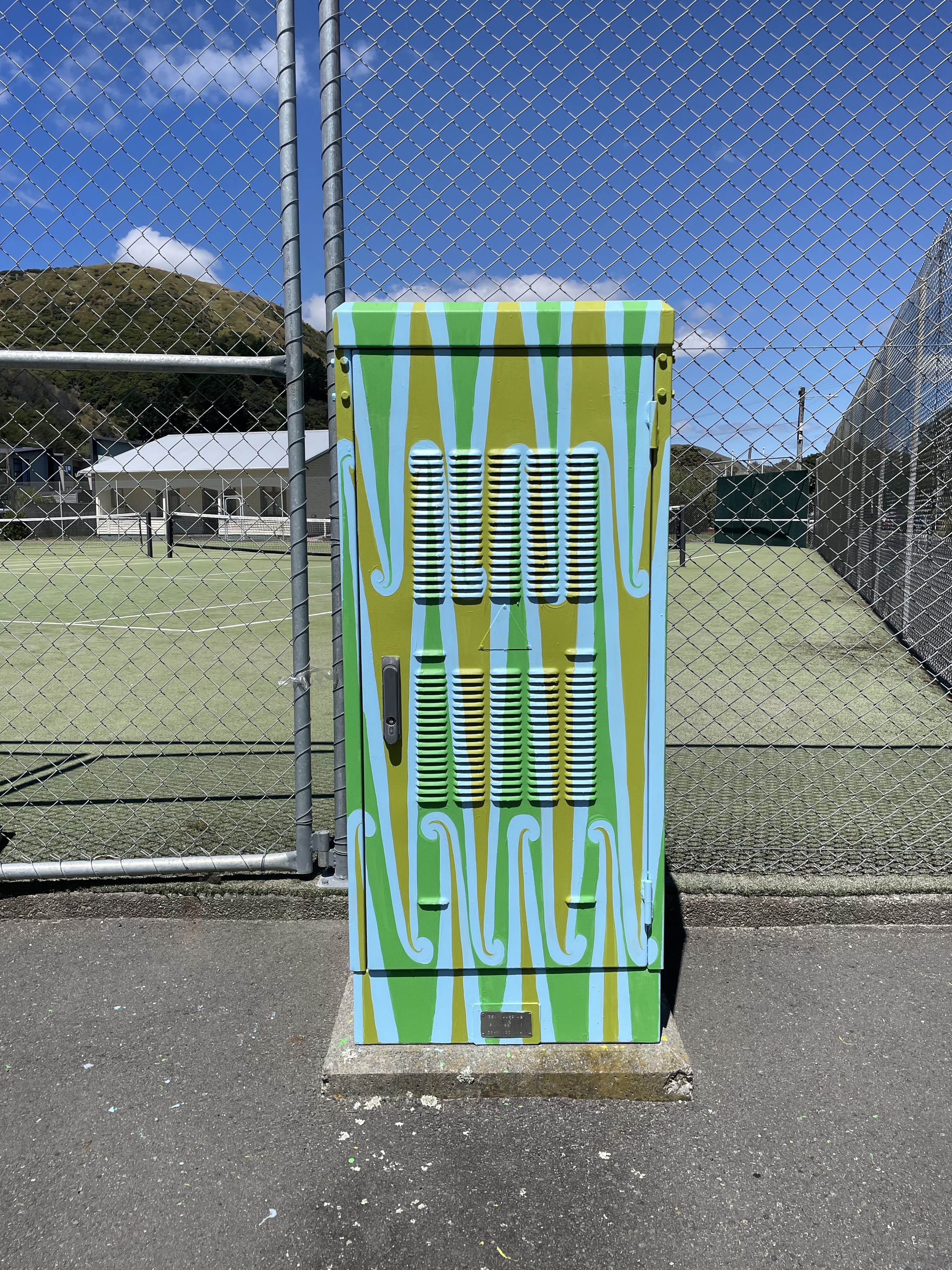 Front of art cabinet 'Pūhoro', painted by Miriama Grace-Smith