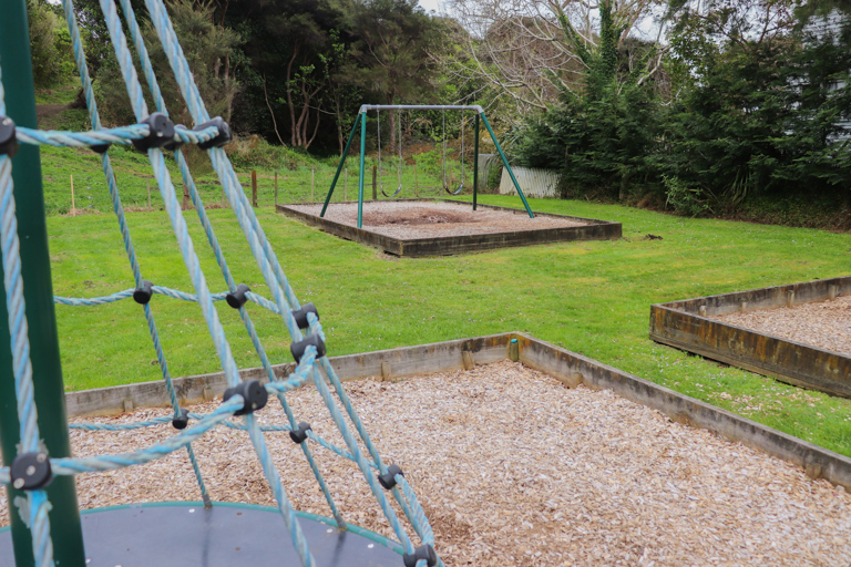 Leinster Avenue Reserve swings