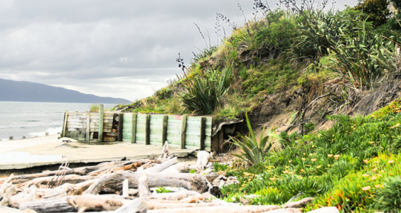 Coastal erosion of a seawall in Raumati Beach, with sand dunes and driftwood, and Kāpiti Island in the background.