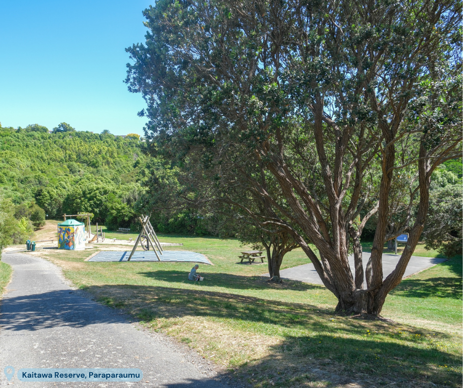 Swings at Kaitawa Reserve, Paraparaumu