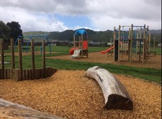Pohutukawa Park (1)