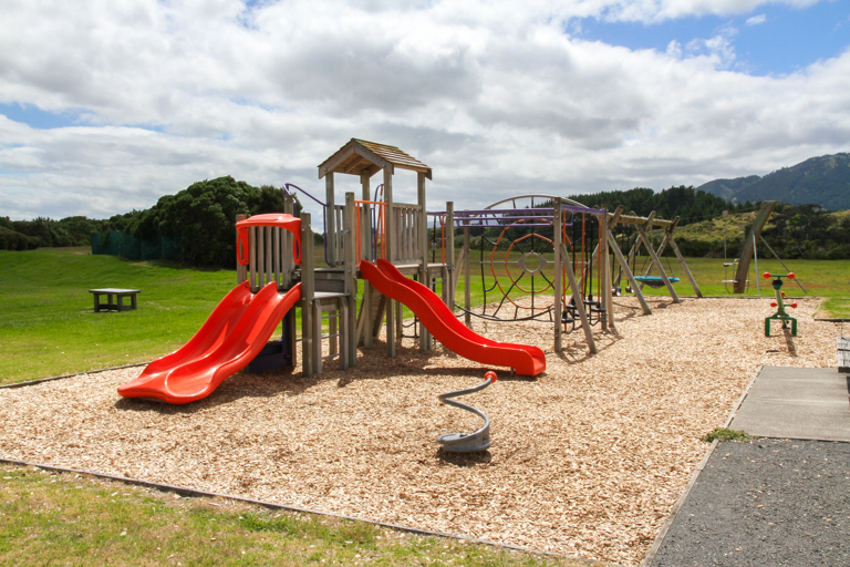 Pharazyn Reserve play area